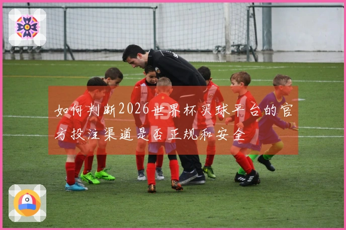 如何判断2026世界杯买球平台的官方投注渠道是否正规和安全
