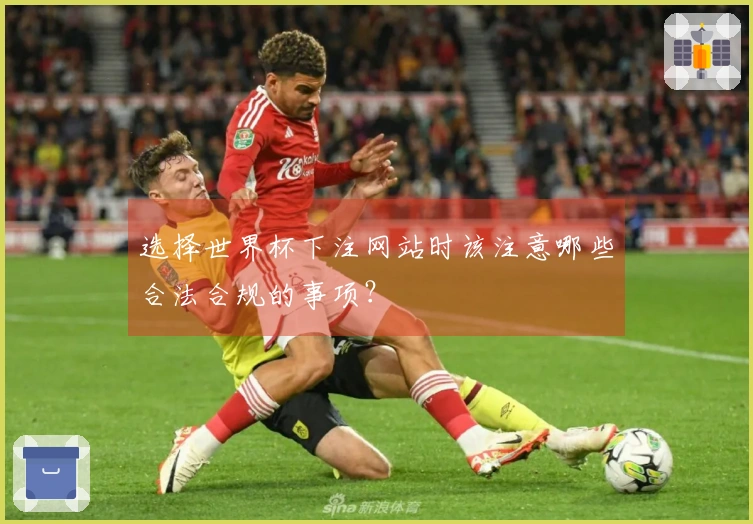 选择世界杯下注网站时该注意哪些合法合规的事项？