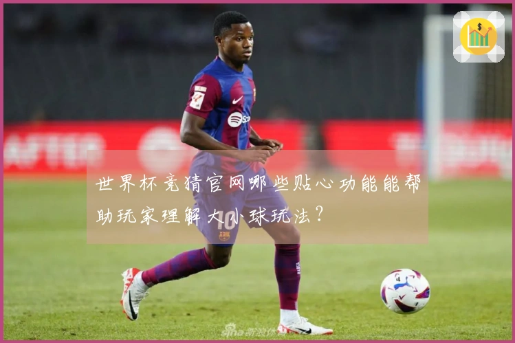 世界杯竞猜官网哪些贴心功能能帮助玩家理解大小球玩法？