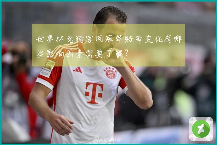 世界杯竞猜官网冠军赔率变化有哪些影响因素需要了解？