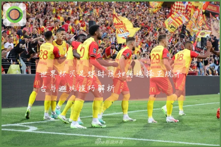 世界杯买足球时该如何选择正规平台与避坑技巧解析