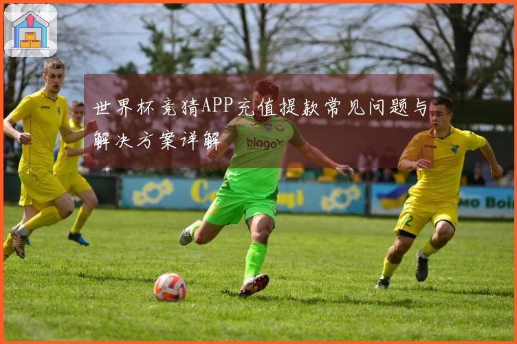 世界杯竞猜APP充值提款常见问题与解决方案详解