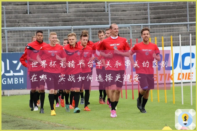 世界杯竞猜平台单关和串关的区别在哪，实战如何选择更稳妥