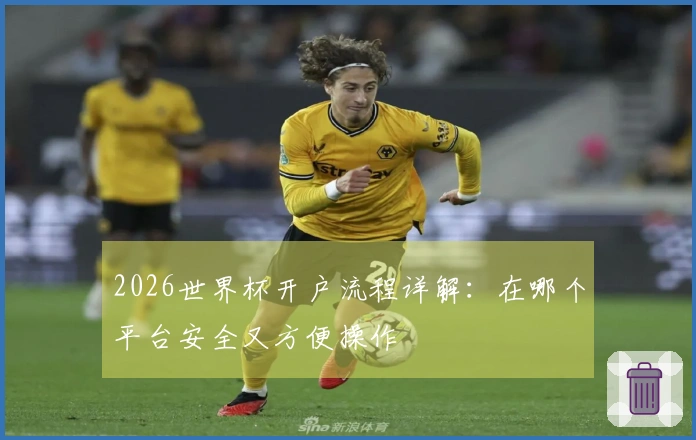 2026世界杯开户流程详解：在哪个平台安全又方便操作
