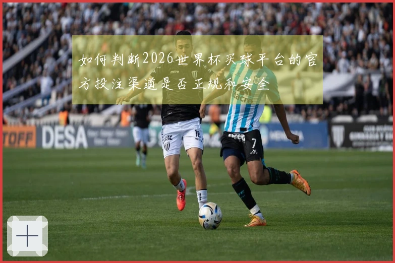 如何判断2026世界杯买球平台的官方投注渠道是否正规和安全