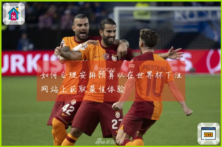 如何合理安排预算以在世界杯下注网站上获取最佳体验