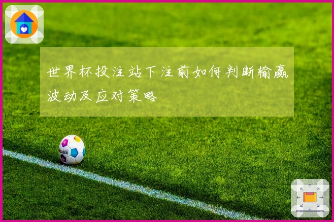 世界杯投注站下注前如何判断输赢波动及应对策略
