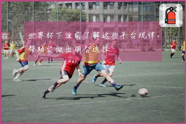 世界杯下注前了解这些平台规律，帮助你做出明智选择