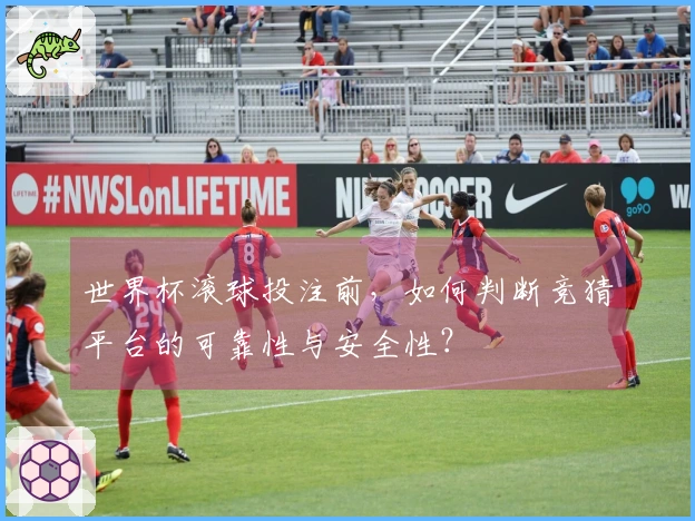 世界杯滚球投注前，如何判断竞猜平台的可靠性与安全性？