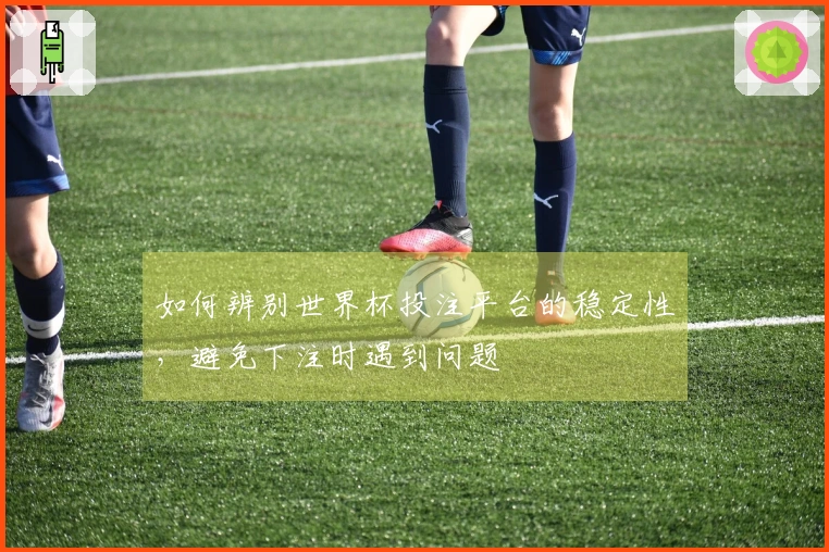 如何辨别世界杯投注平台的稳定性，避免下注时遇到问题