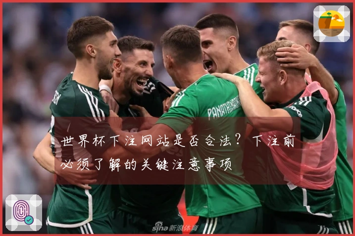 世界杯下注网站是否合法？下注前必须了解的关键注意事项
