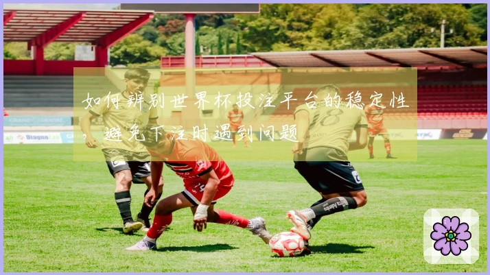 如何辨别世界杯投注平台的稳定性，避免下注时遇到问题