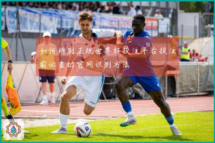 如何辨别正规世界杯投注平台投注前必查的官网识别方法