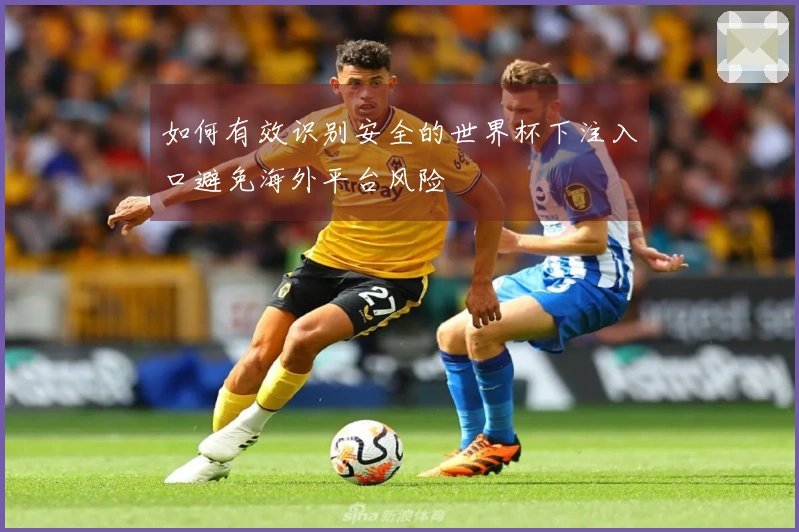 如何有效识别安全的世界杯下注入口避免海外平台风险