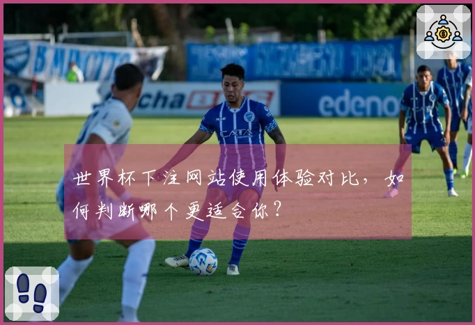 世界杯下注网站使用体验对比，如何判断哪个更适合你？