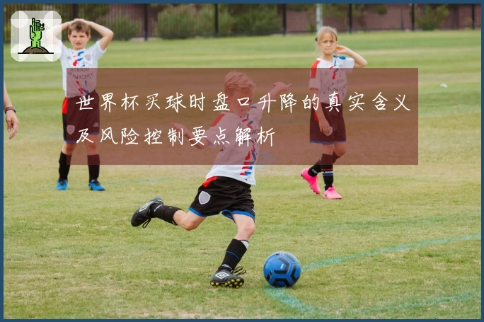 世界杯买球时盘口升降的真实含义及风险控制要点解析