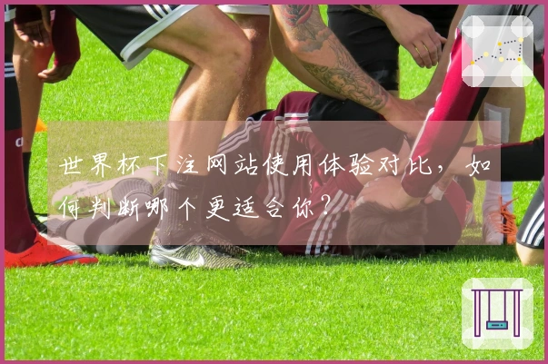 世界杯下注网站使用体验对比，如何判断哪个更适合你？