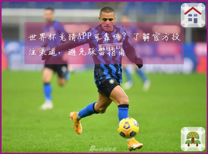世界杯竞猜APP可靠吗？了解官方投注渠道，避免踩雷指南