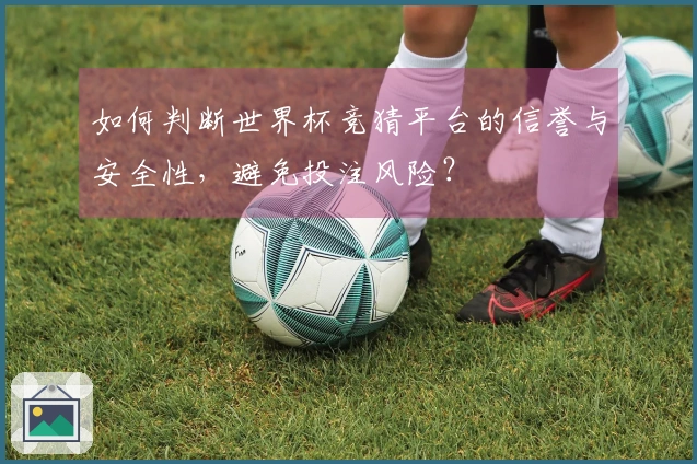 如何判断世界杯竞猜平台的信誉与安全性，避免投注风险？