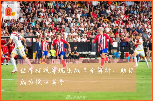 世界杯滚球玩法细节全解析，助你成为投注高手